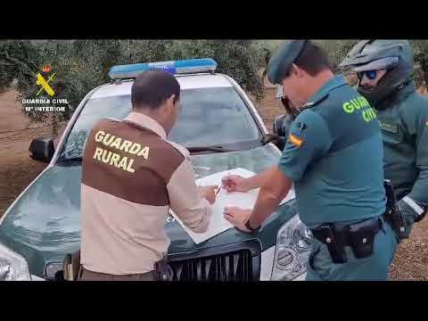 Examen Guardia Civil Descarga El Pdf Gratis